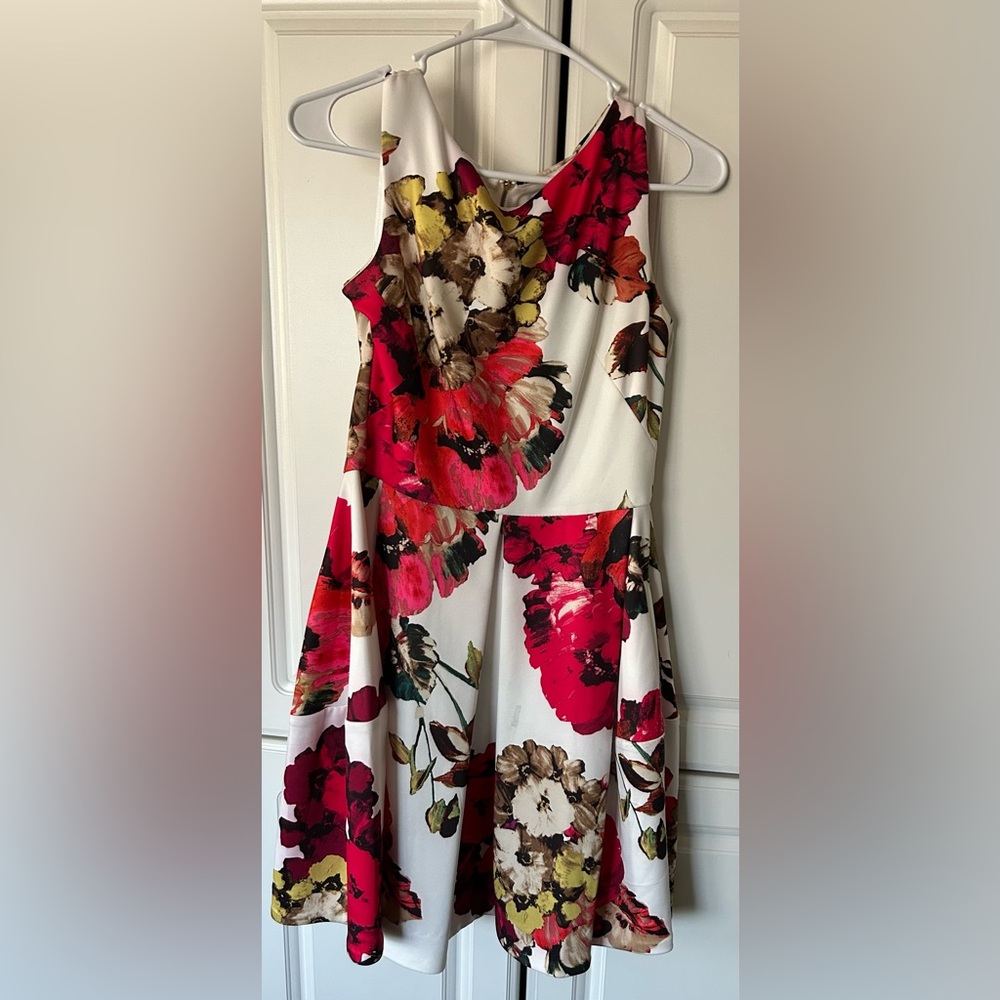 Beautiful Roz & Ali Floral Sleeveless Dress Size 4